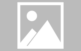 湘西新区景区网站建设（in art criticism,you must assume）
